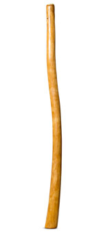 Gloss Finish Didgeridoo (TW1427)